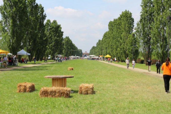 Il Viale e la Villa